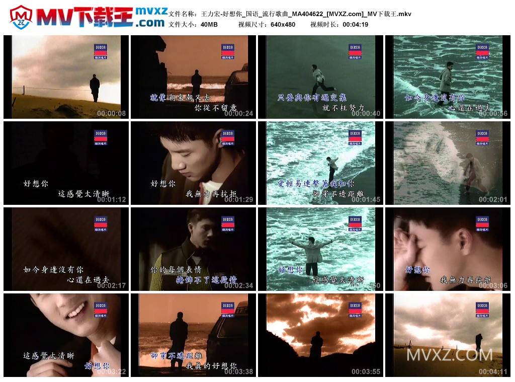 王力宏-好想你_国语_流行歌曲_MA404622